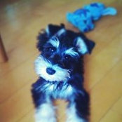 Yuriko Araragi's photo