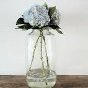 Leisa Whitby's photo