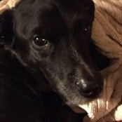 Debbie Burns's photo