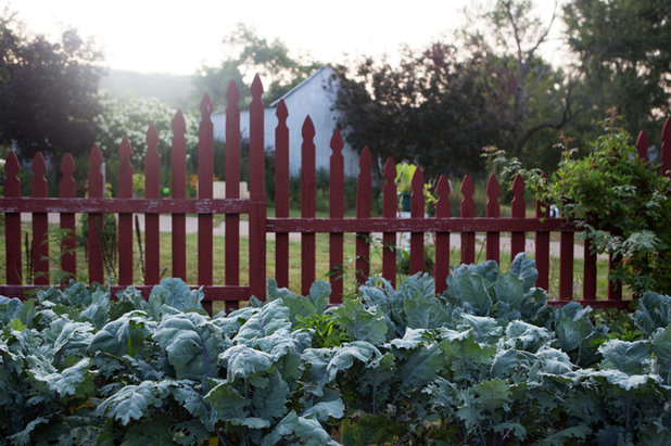 Farmhouse Landscape gosherd