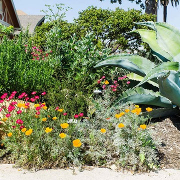 2018 Native Plant Garden Tour