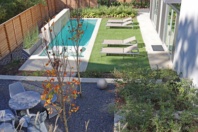 Photo of a mid-sized modern drought-tolerant, privacy and partial sun backyard landscaping in Atlanta.