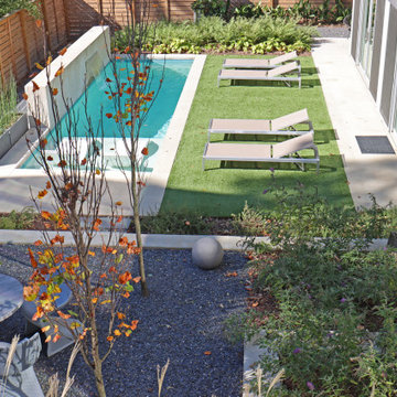 Modern city home