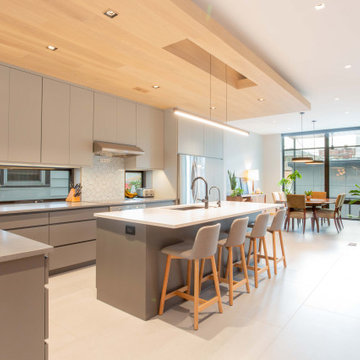 Chicago Contemporary Home Transformation