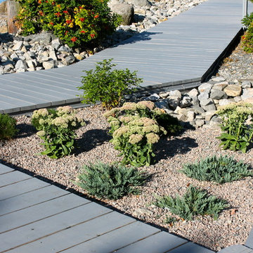 Garden Vignettes