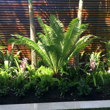 2020 Landscaping