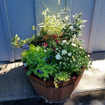 Late summer/fall container