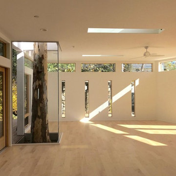 Movement Studio: Somatic Sanctuary