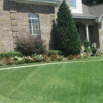 Southern Lawns