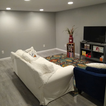 Cisneros Basement Remodel