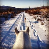 Katie Matthews's photo