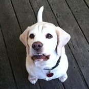 Greta Gustafson's photo
