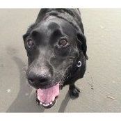 Kathy Jacoby's photo