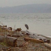 Laura Koch's photo