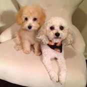 Cathy Manning's photo