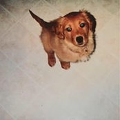 Reed's photo