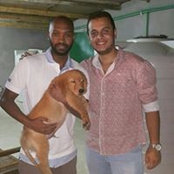 Eslam Nabil HarHashs billede