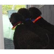 Wendy O'Leary's photo