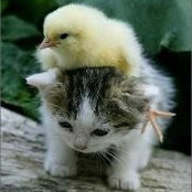 Foto von Margaret Davidson