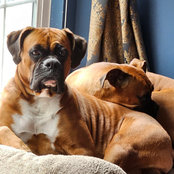 Stephanie Taras's photo