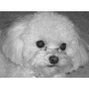 Terri OBrien's photo