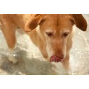 Cameron Feizy's photo
