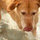Cameron Feizy