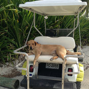 Foto de skgaff