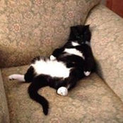 Tom Steele's photo