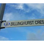 Anne Billinghursts foto