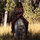 Shewolf Gundi