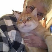 Joan Limbrick's photo