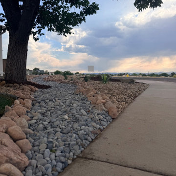 Xeriscape Transformation - Highlands Ranch, CO