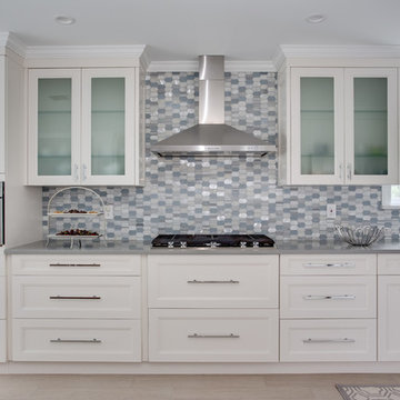 Manhasset Hills Project