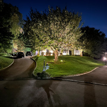 Landscape Lighting