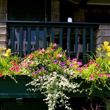 Flourishing Container Gardens!