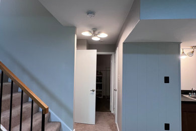 Painting & Carpet