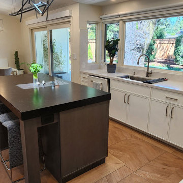 Transitional Alamo Kitchen Renovation