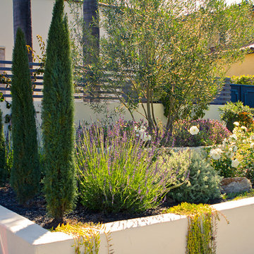 Unique Contemporary Provence in Santa Monica