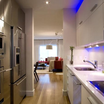 Contemporary Kitchen Cabinets Design Remodel