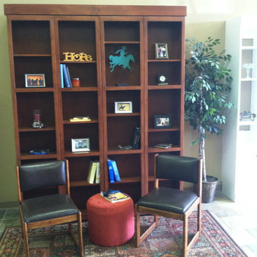 Library Wallbed