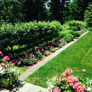 Long summer border