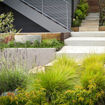 Entrance Steps-Entrance