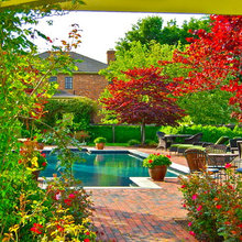 deck/patio/fence
