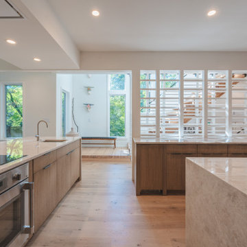 Takoma Park, MD Contemporary Open Kitchen