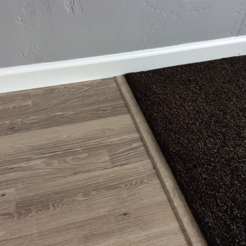 Carpet and Hardwood