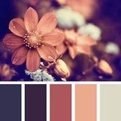 Thụy Lês foto