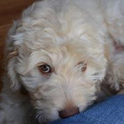 Liz Arbaugh's photo