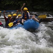 Brad Taylor's photo