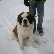 Marcy Bruflats foto